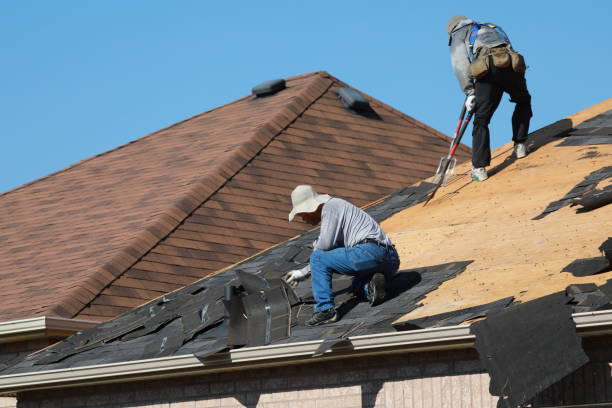Best Roof Coating and Sealing  in Meeker, CO