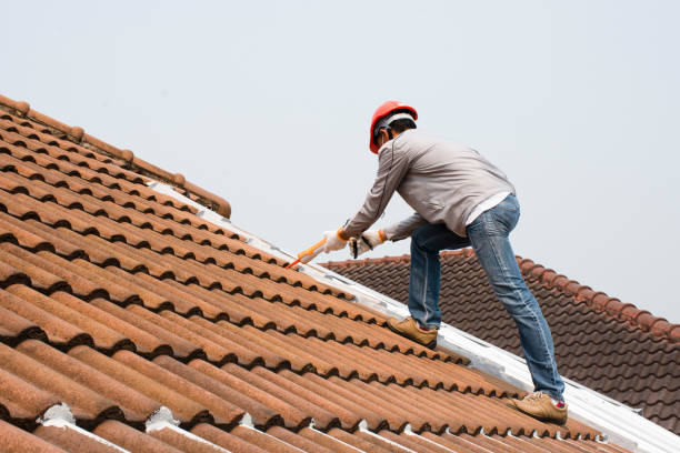 Best Chimney Flashing Repair  in Meeker, CO