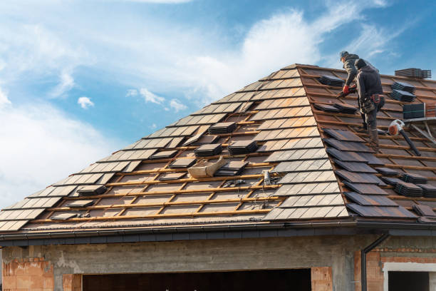 Best Roof Insulation Installation  in Meeker, CO